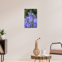 Spring Bluebells na de regen Poster