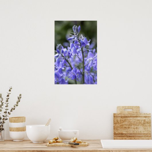 Spring Bluebells na de regen Poster (Keuken)