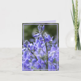 Spring Bluebells na de regen verjaardag Kaart