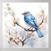Spring Bluebird in de bloeiende boom Poster (Voorkant)