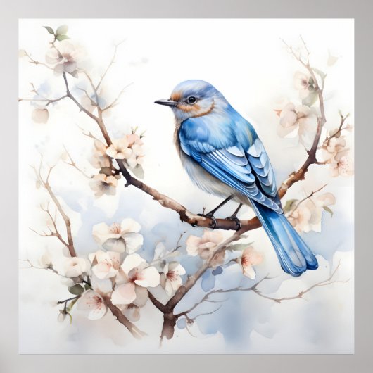 Spring Bluebird in de bloeiende boom Poster (Voorkant)