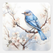Spring Bluebird in de bloeiende boom Vierkante Sticker (Voorkant)