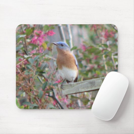 Spring Bluebird Mousepad Muismat (Met muis)