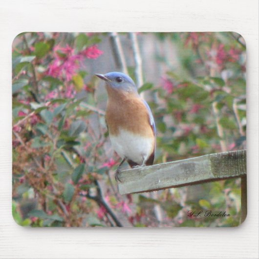 Spring Bluebird Mousepad Muismat (Voorkant)