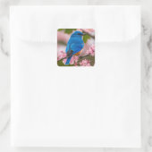 Spring Bluebird Vierkante Sticker (Tas)