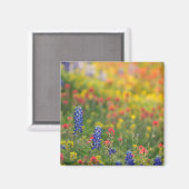 Spring Bluebonnet Magnet (Voorkant / Achterkant)