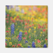 Spring Bluebonnet Magnet (Voorkant)