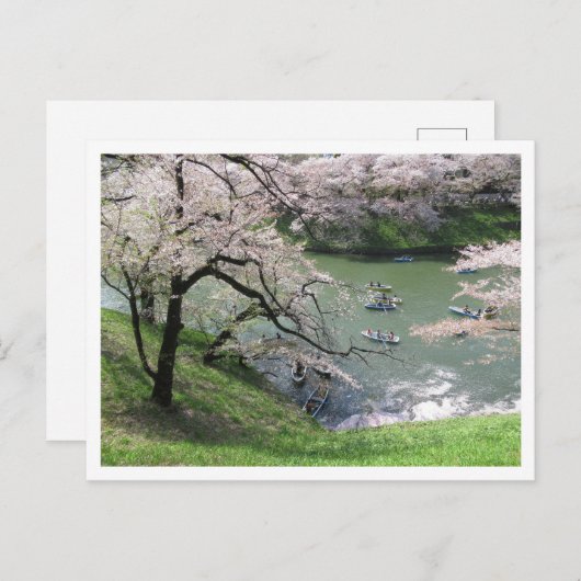 Spring Boating: Chidorigafuchi, Tokio Briefkaart (Voorkant / Achterkant)
