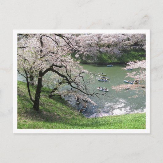 Spring Boating: Chidorigafuchi, Tokio Briefkaart (Voorkant)
