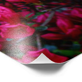 "Spring Boom" (fotoafdrukken) Foto Afdruk (Hoek)