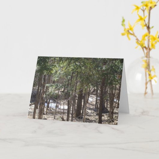 Spring Bossen Blank kaart (Gele Bloem)