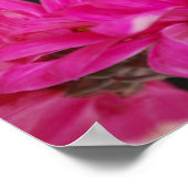 Spring Bouquet Poster (Hoek)