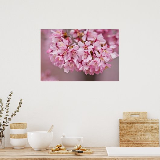 Spring Bouquet Poster Japanse Cherry Blossom (Keuken)
