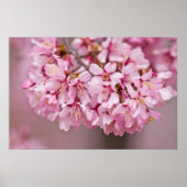 Spring Bouquet Poster Japanse Cherry Blossom (Voorkant)