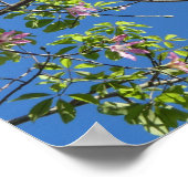 Spring, branch of a blossoming tree poster (Hoek)