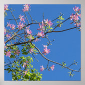 Spring, branch of a blossoming tree poster (Voorkant)