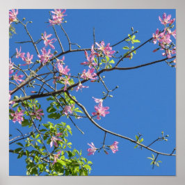 Spring, branch of a blossoming tree poster