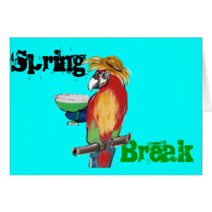 Spring Break Parrots
