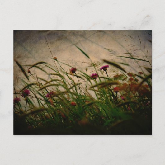 Spring Breeze briefkaart (Voorkant)
