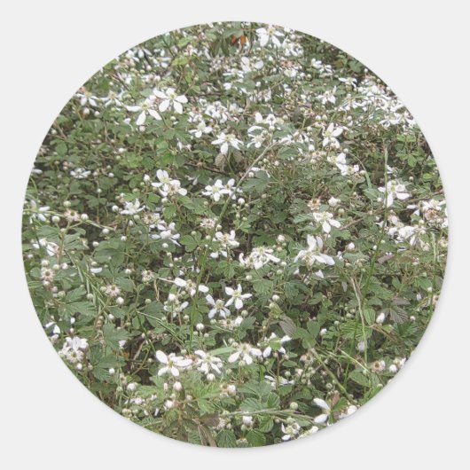 Spring Briar Patch Ronde Sticker (Voorkant)