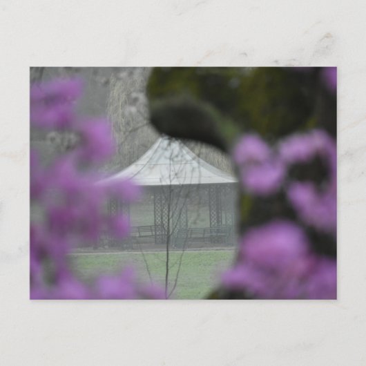 Spring  briefkaart (Voorkant)