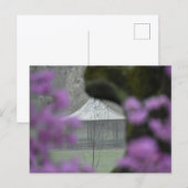 Spring  briefkaart (Voorkant / Achterkant)