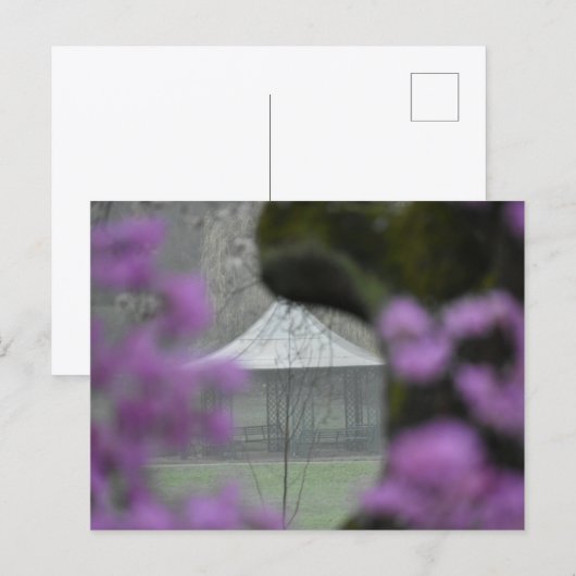 Spring  briefkaart (Voorkant / Achterkant)