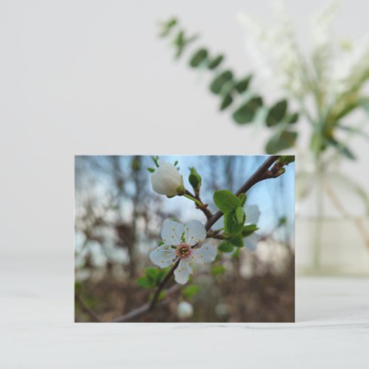 Spring  briefkaart (Staand voorkant)