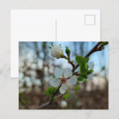 Spring  briefkaart (Voorkant / Achterkant)