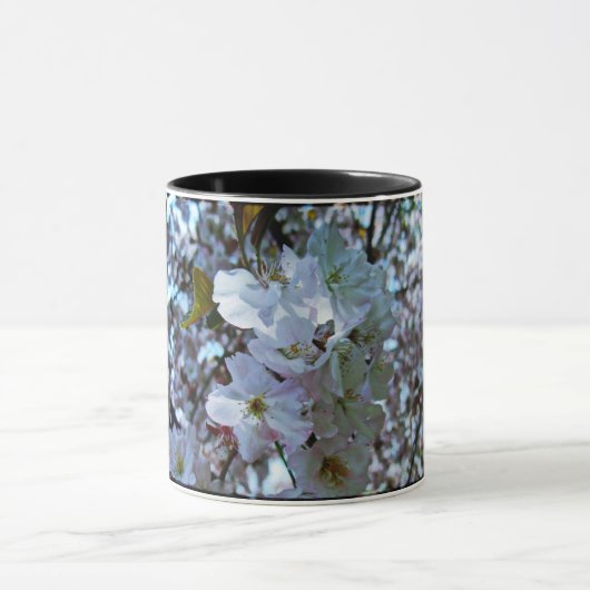 Spring Brooklyn Botanical Gardens Mok (Midden)