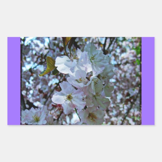 Spring Brooklyn Botanical Gardens Rechthoekige Sticker (Voorkant)
