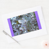Spring Brooklyn Botanical Gardens Rechthoekige Sticker (Envelop)