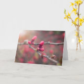 Spring Buds Forth Kaart (Gele Bloem)