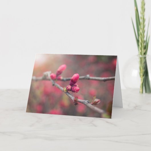 Spring Buds Forth Kaart (Voorkant)