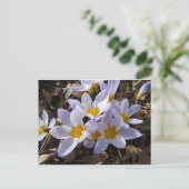 Spring Bundle Briefkaart (Staand voorkant)