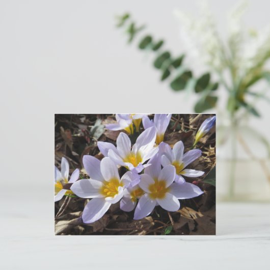 Spring Bundle Briefkaart (Staand voorkant)