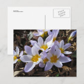 Spring Bundle Briefkaart (Voorkant / Achterkant)