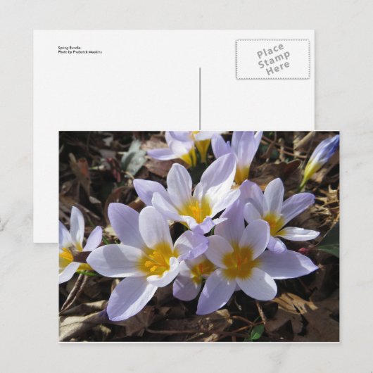 Spring Bundle Briefkaart (Voorkant / Achterkant)