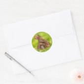 Spring Bunny Lovers Ronde Sticker (Envelop)