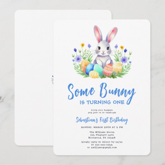 Spring Bunny Rabbit Eerste Verjaardag Kaart (Voorkant / Achterkant)