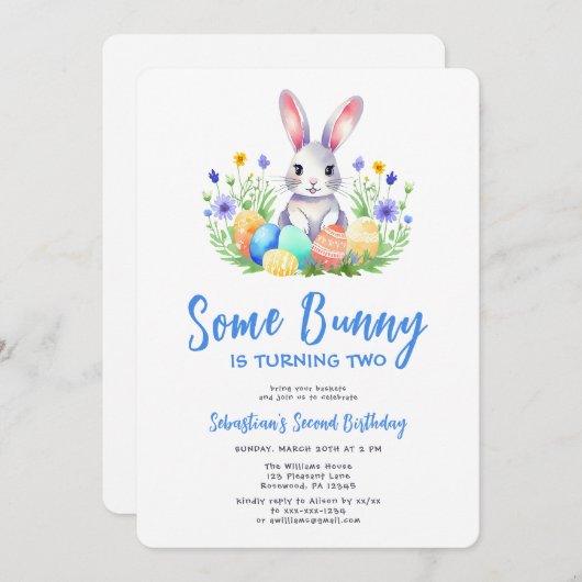 Spring Bunny Rabbit Pasen Tweede Verjaardag Kaart (Voorkant / Achterkant)