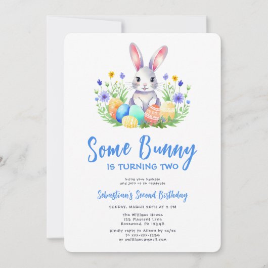 Spring Bunny Rabbit Pasen Tweede Verjaardag Kaart (Voorkant)