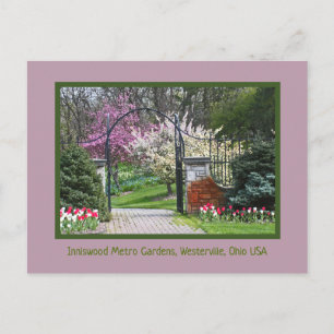 "SPRING BURSTS FORTH AT IN INNISWOOD" BRIEFKAART