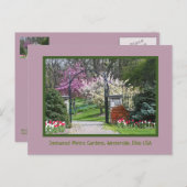 "SPRING BURSTS FORTH AT IN INNISWOOD" BRIEFKAART (Voorkant / Achterkant)