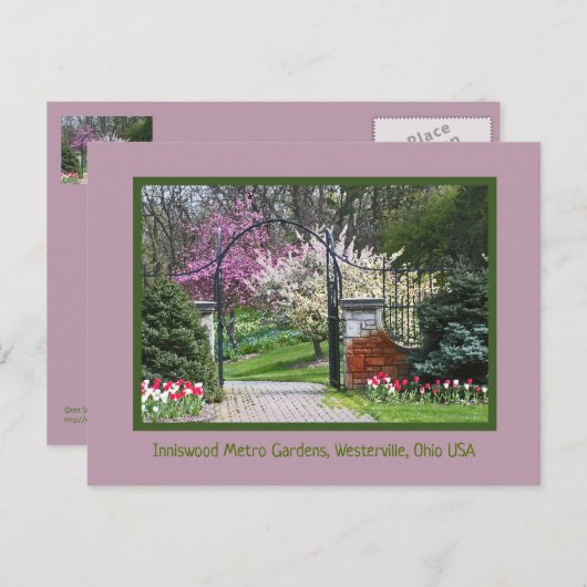 "SPRING BURSTS FORTH AT IN INNISWOOD" BRIEFKAART (Voorkant / Achterkant)