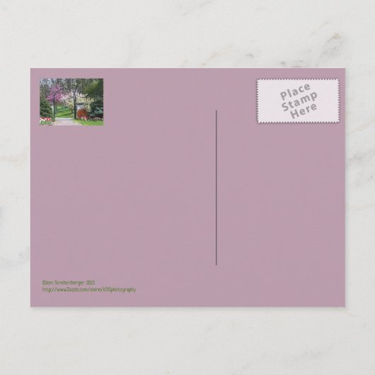 "SPRING BURSTS FORTH AT IN INNISWOOD" BRIEFKAART (Achterkant)