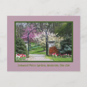 "SPRING BURSTS FORTH AT IN INNISWOOD" BRIEFKAART (Voorkant)