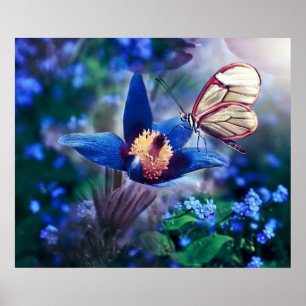 Spring Butterfly op Blue Flower Poster