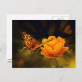 Spring Butterfly op Roos Briefkaart (Voorkant / Achterkant)