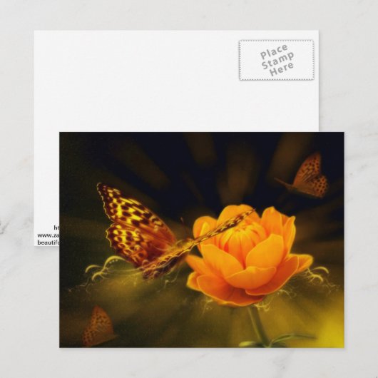 Spring Butterfly op Roos Briefkaart (Voorkant / Achterkant)